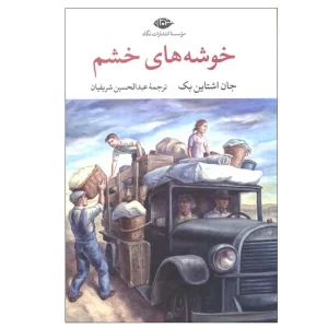 خوشه های خشم