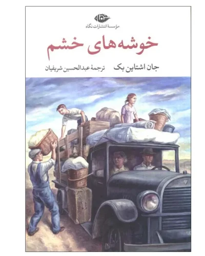 خوشه های خشم